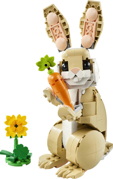 Cute Bunny