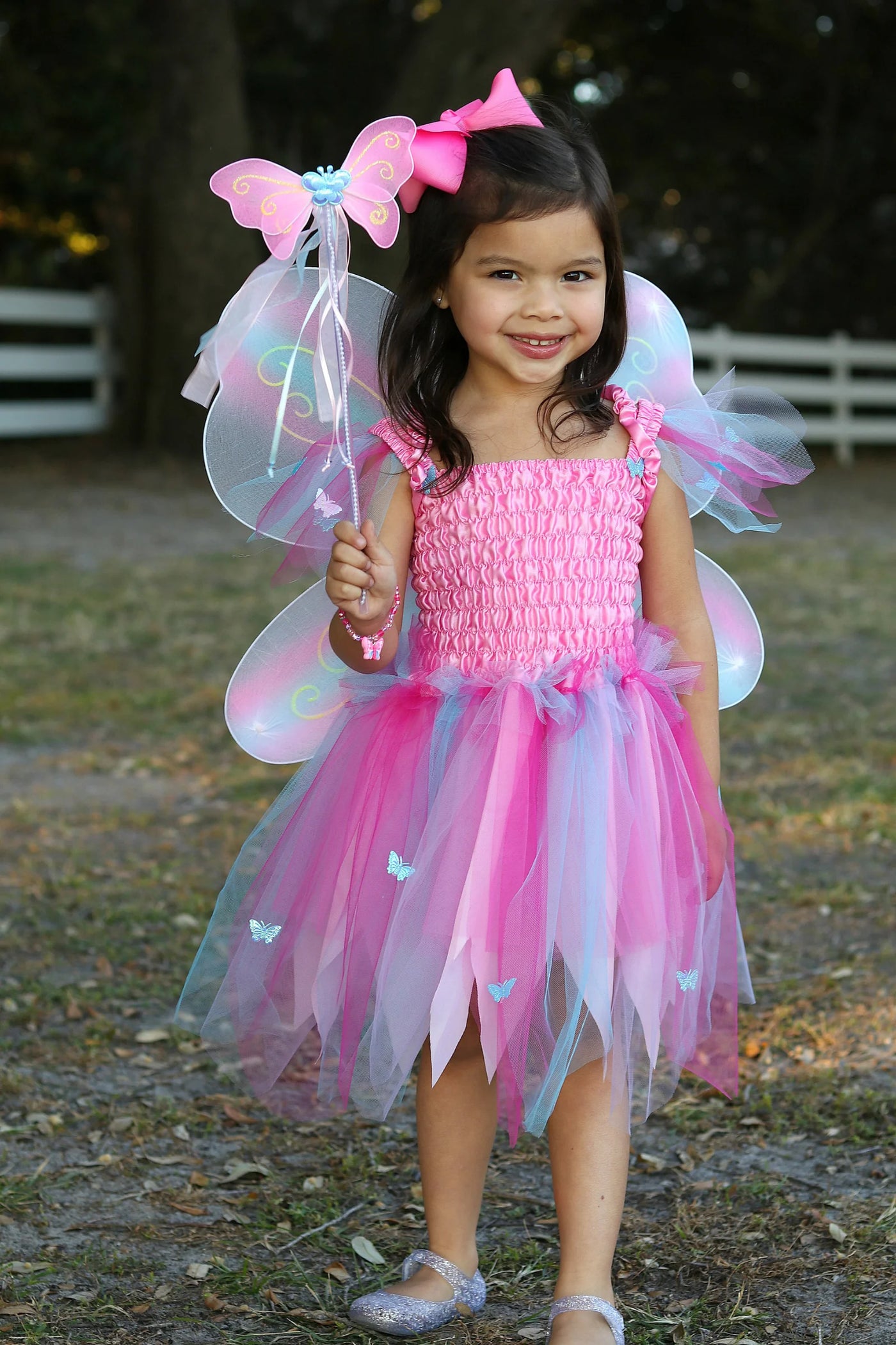 Butterfly Dress & Wings With Wand, Pink/Multi, Size 5-6