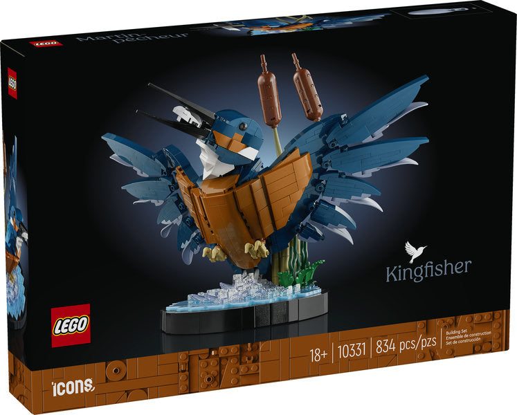 Kingfisher Bird