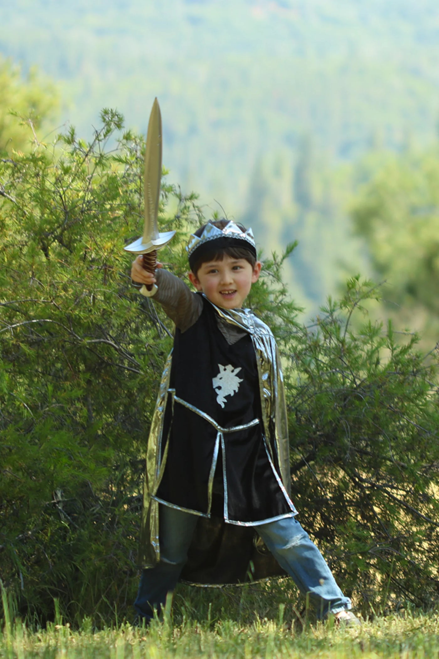 Silver Knight With Tunic, Cape, & Crown, Size 5-6 (Copy)