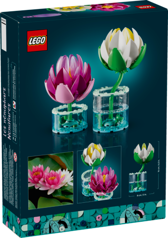 Water Lillies