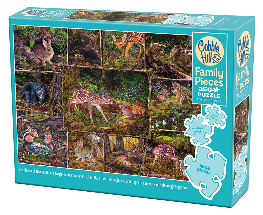 Into the Woods - Family Pieces 350