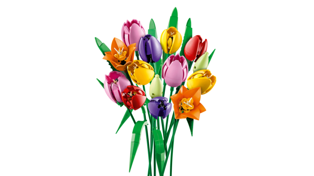 Tulip Bouquet