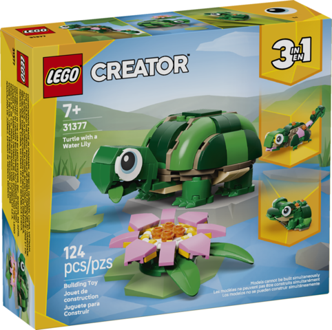Turtle with a Water Lily Flower