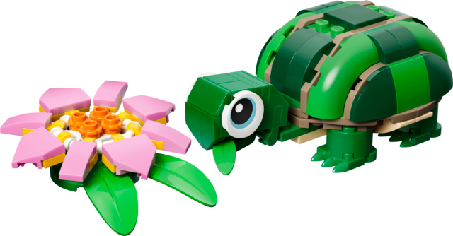 Turtle with a Water Lily Flower
