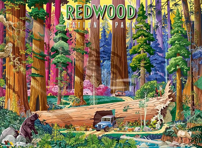 Redwood National Park - 500pcs