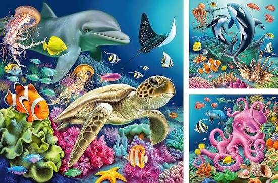 Underwater 3x49 pcs