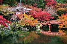 Beautiful Gardens - Daigo-ji, Kyoto, Japan  1000pc