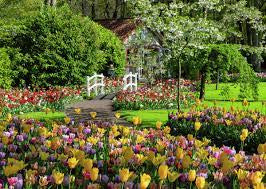 Beautiful Gardens - Keukenhof Gardens Netherlands 1000pc