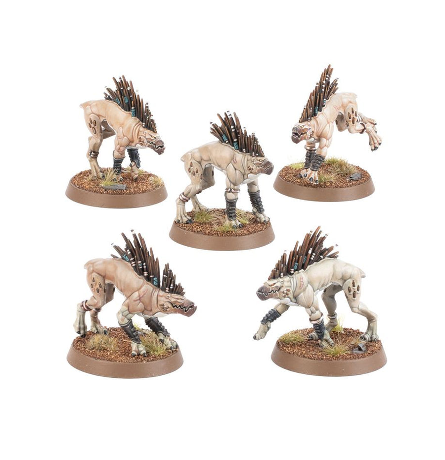 T’au Empire: Kroot Hounds