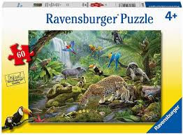 Rainforest Animals 60cps
