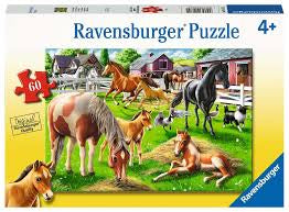 Happy Horses 60cs