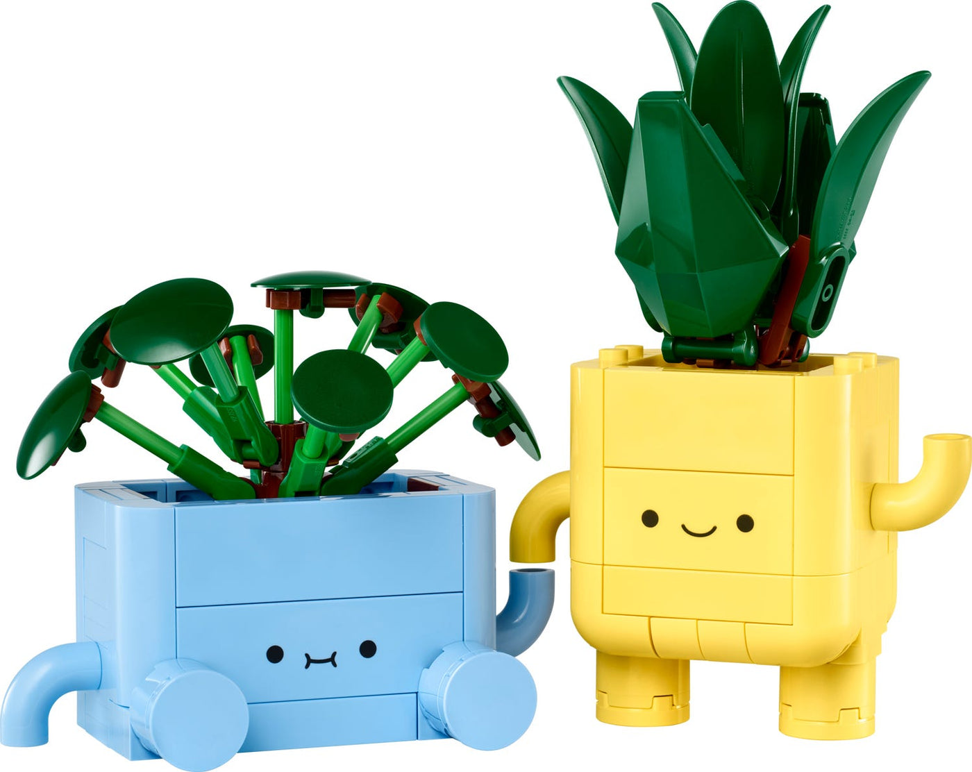 Happy Plants 10349