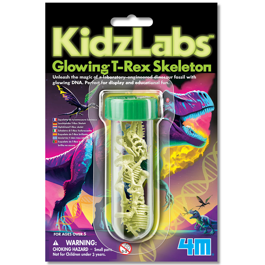 Kidzlabs Glowing T-Rex Skelton