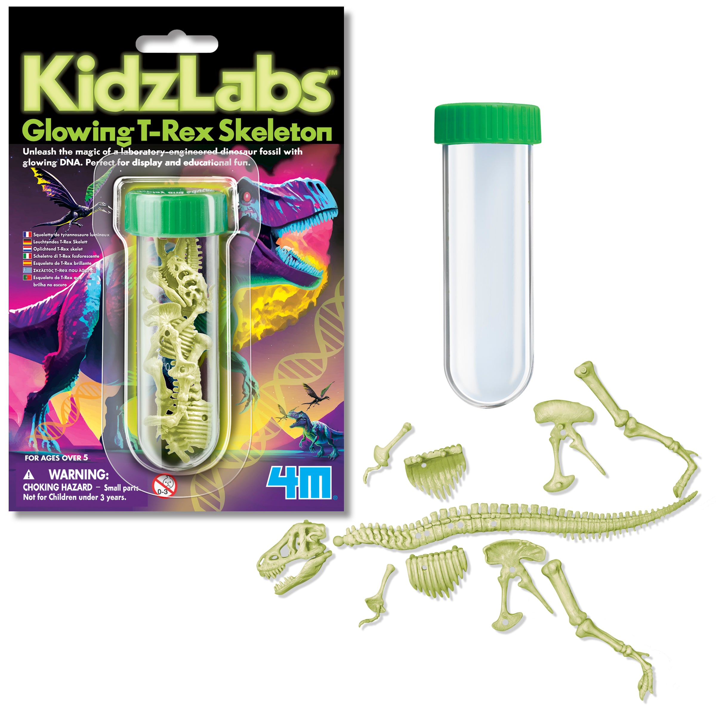 Kidzlabs Glowing T-Rex Skelton