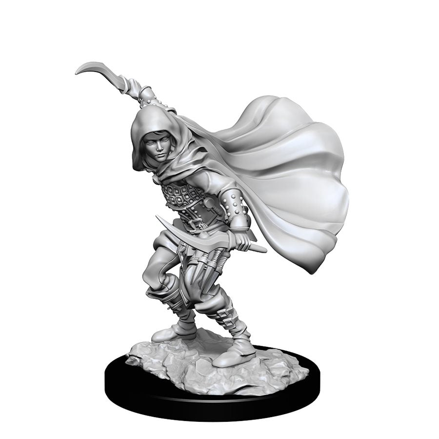 Pathfinder Deep Cuts Unpainted Miniatures: Wave 14: Human Rogue Female