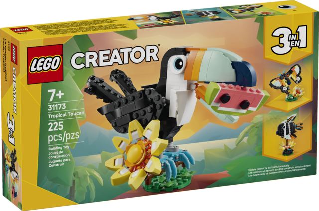 Wild Animals: Tropical Toucan