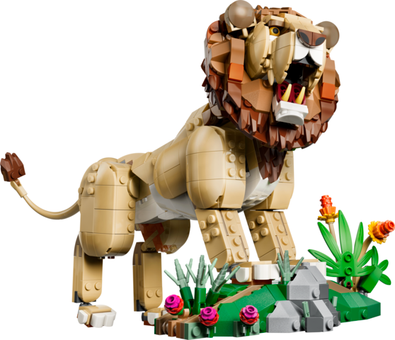 Wild Animals: Majestic Lion