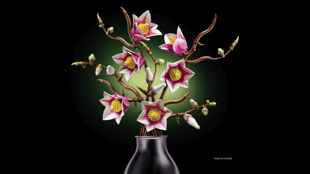 Magnolia Branches