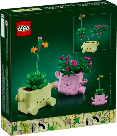 Rocking Plants