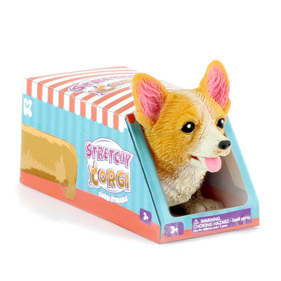 Squidgy Corgi