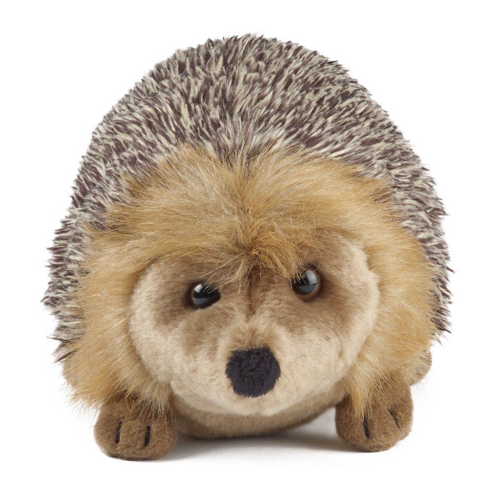 Hedgehog Large