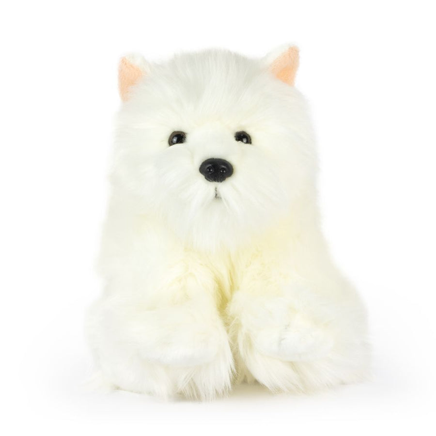 West Highland Terrier