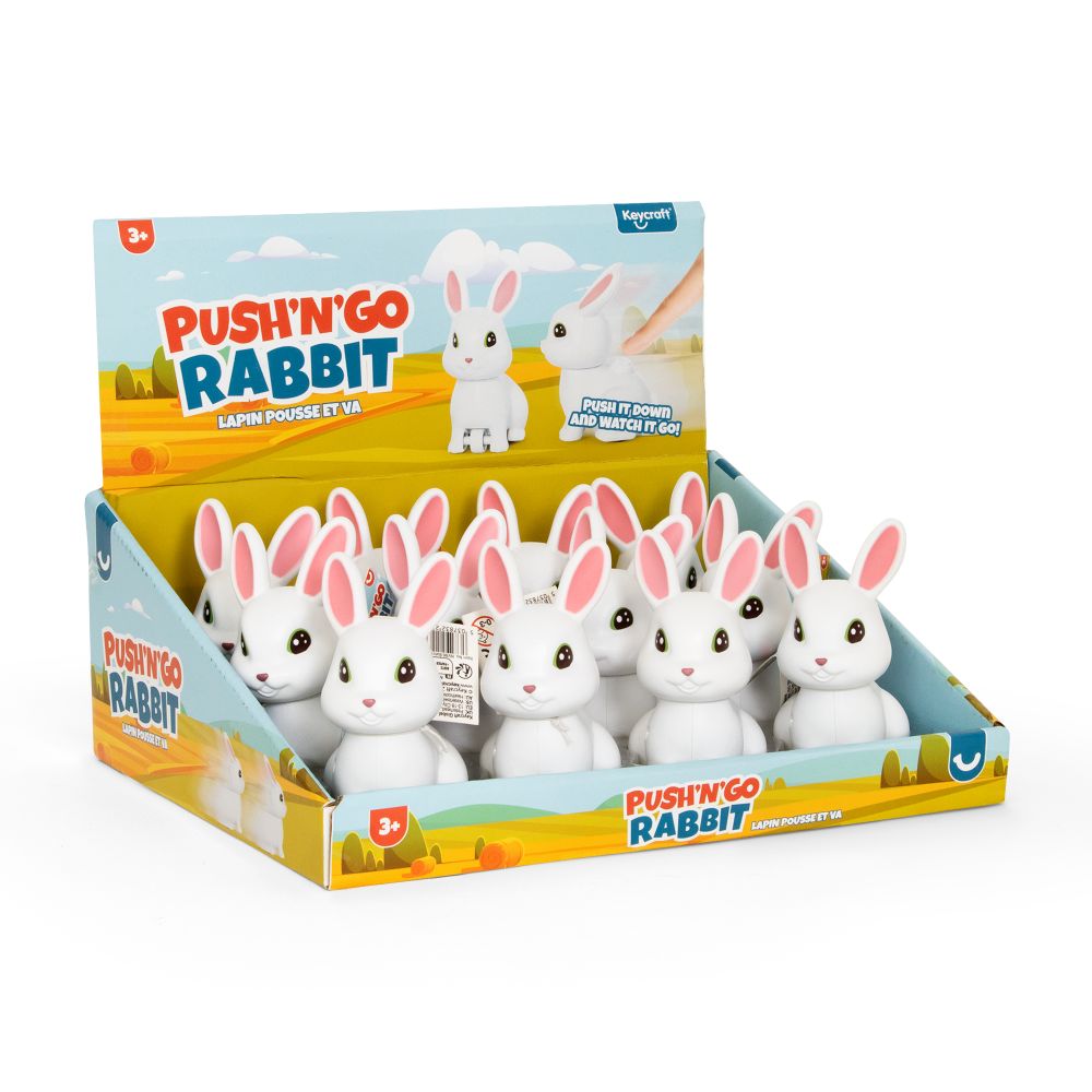 Push 'N' Go Rabbit
