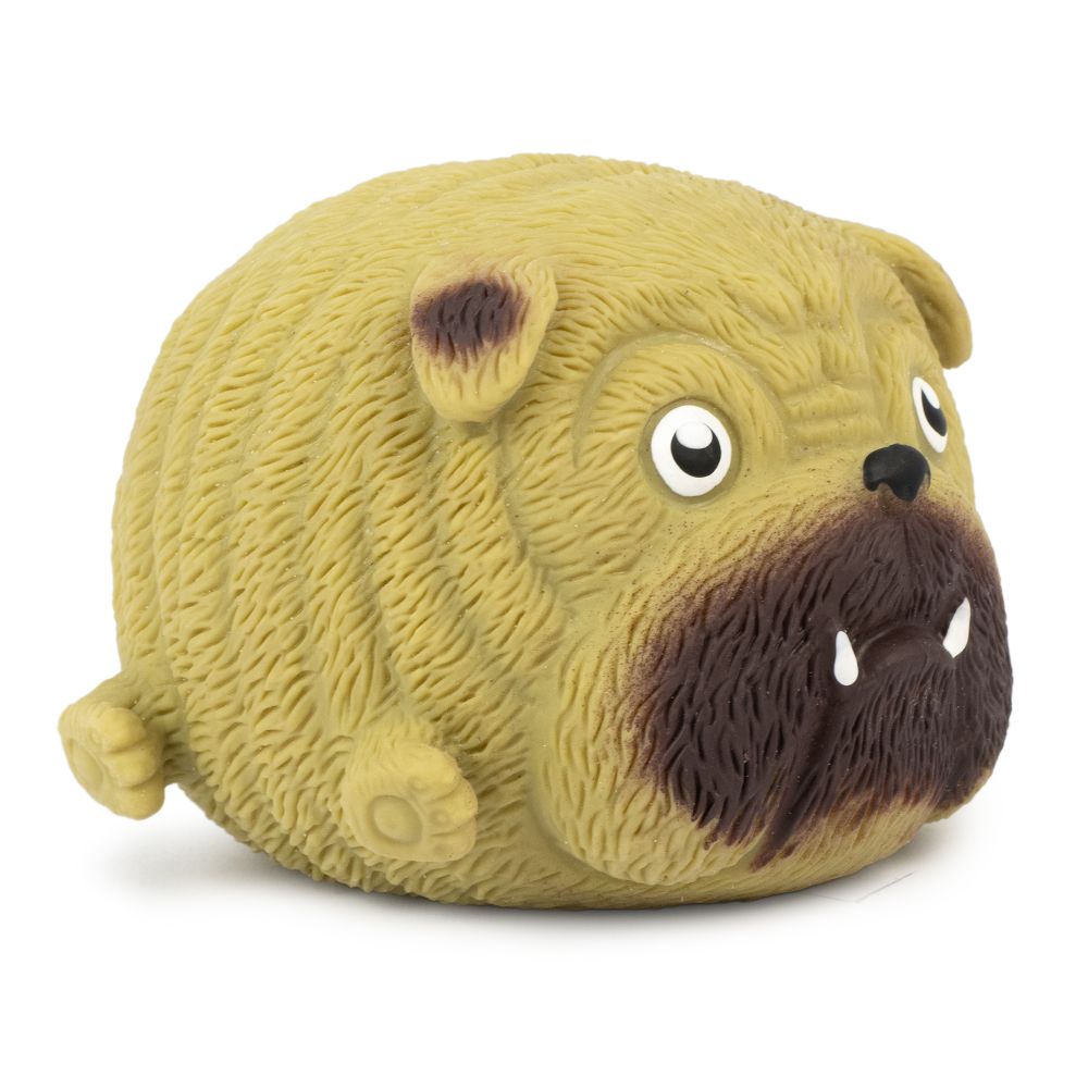 Squidgy Pooch