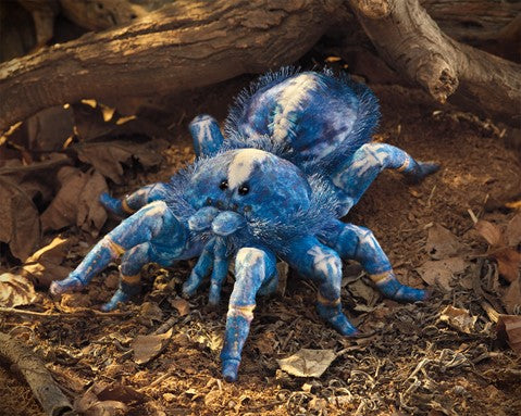 Blue Tarantula Puppet