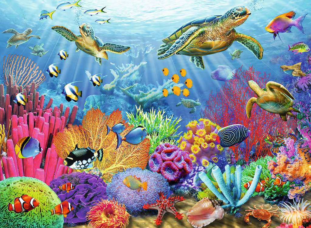 Tropical Waters - 500pc