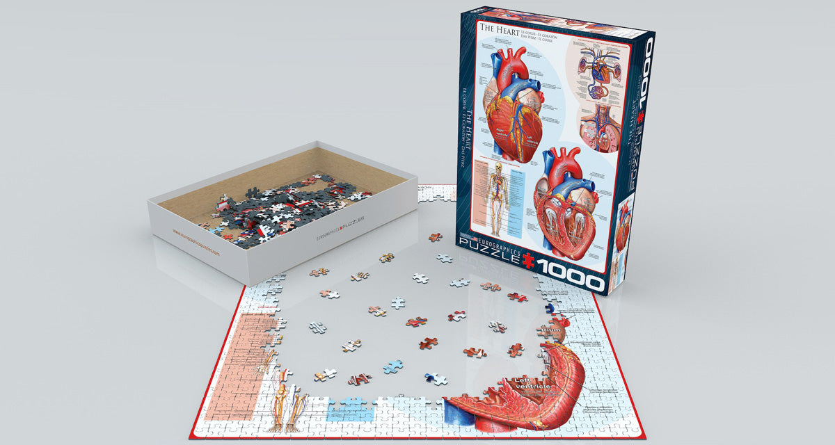 The Heart 1000pc