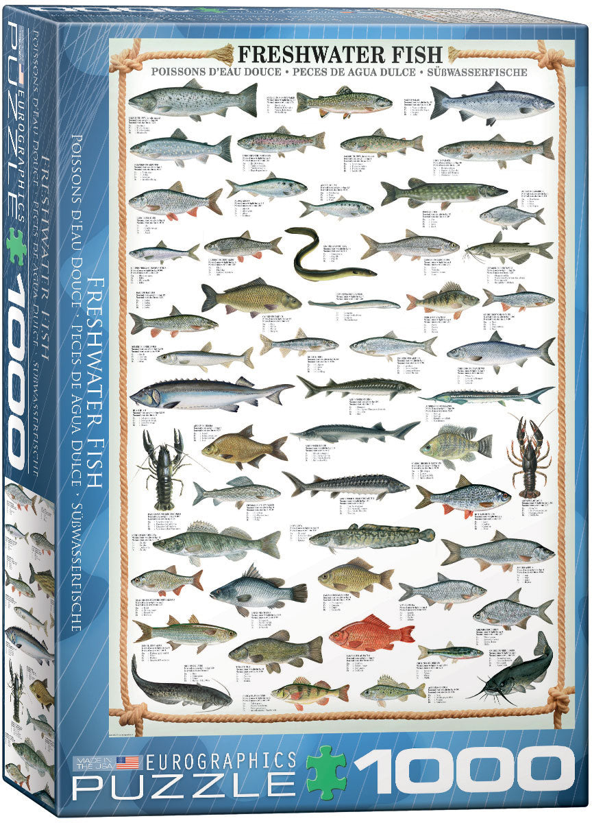 Fresh Water Fish - 1000pc