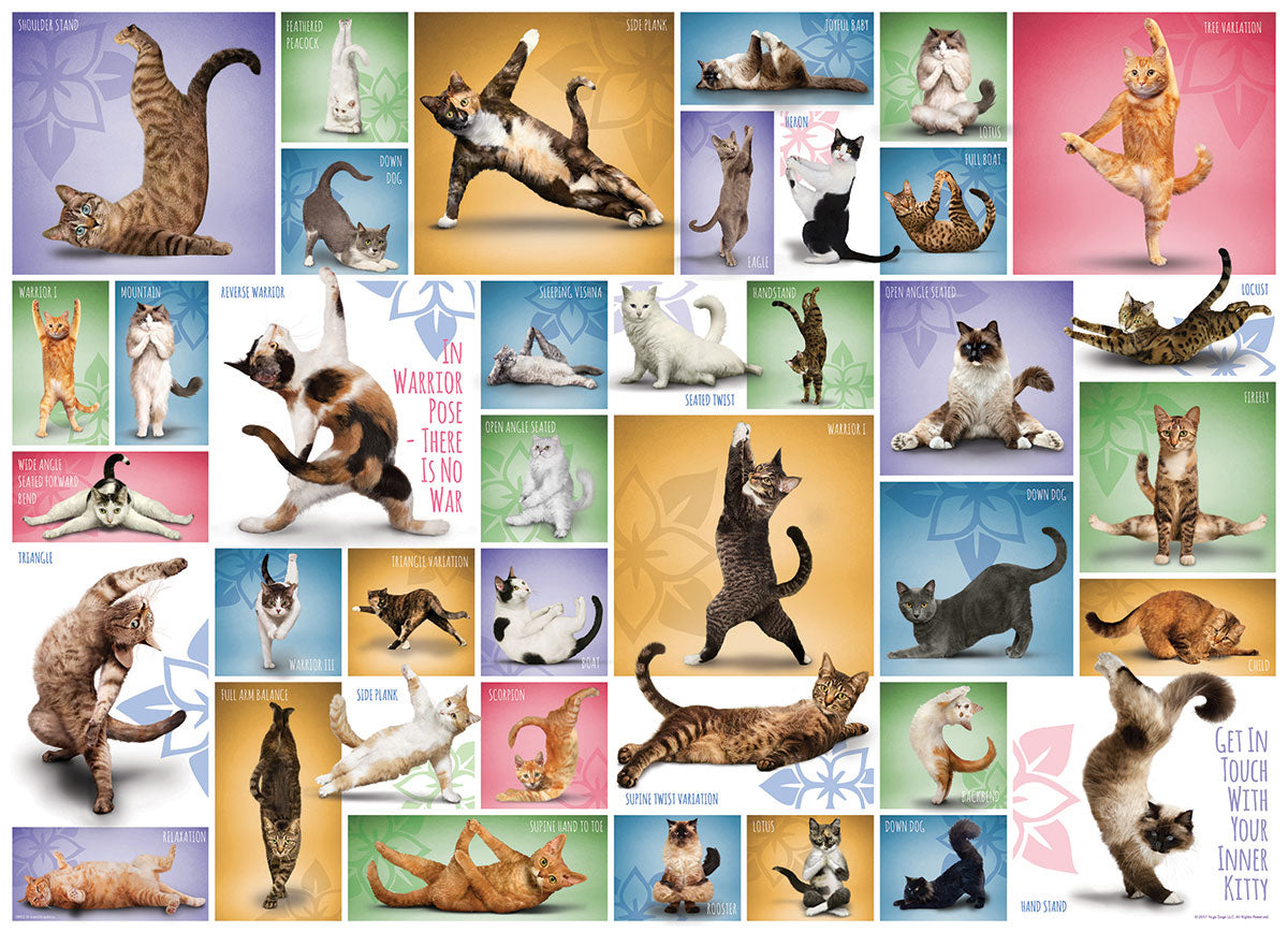 Yoga Cats - 1000 pc