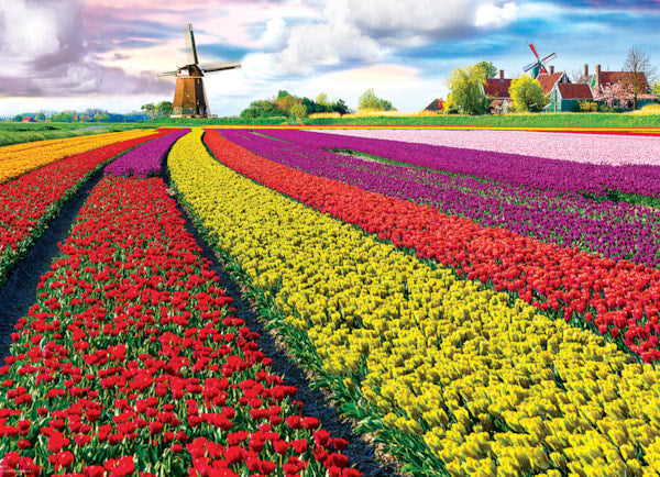 Tulip Fields Netherlands 1000pc