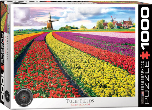 Tulip Fields Netherlands 1000pc