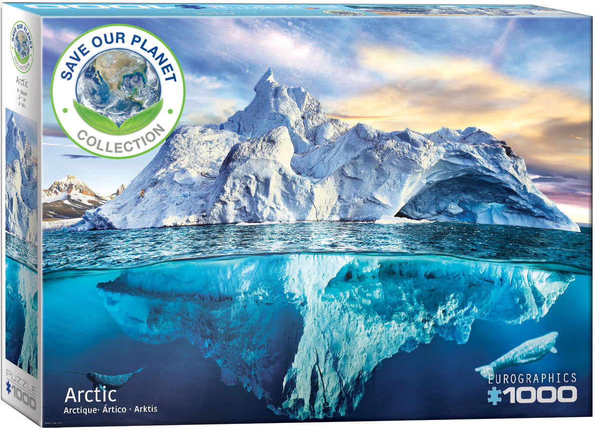 Arctic - 1000pc