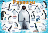 Penguins - 100pc