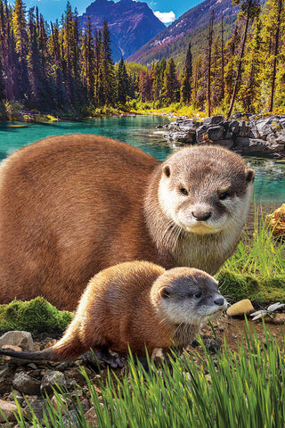 Otters - 250pc