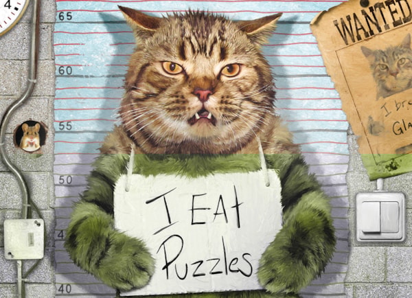 Felony Cat - 300 pc