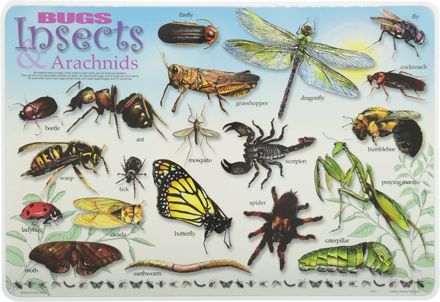 Bugs, Insects & Arachnids Learning Mat