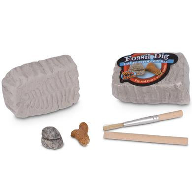 Fossil Dig Palaeontology Kit