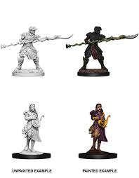 D&D Miniature Yuan ti Pureblood Adventurers