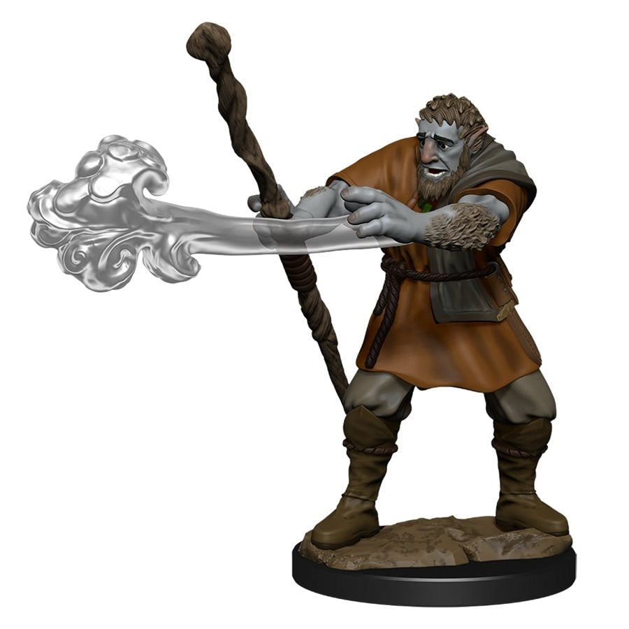 D&D Miniature: Wave 11: Male Firbolg Druid