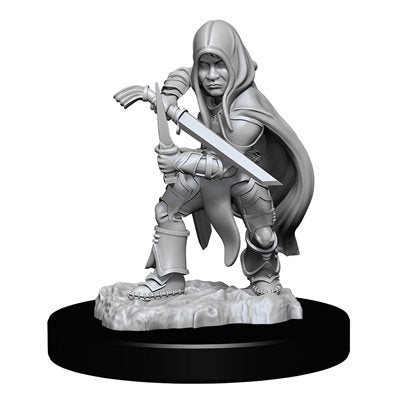 D&D Nolzur's Marvelous Unpainted Miniatures: Wave 13: Halfling Rogue Male