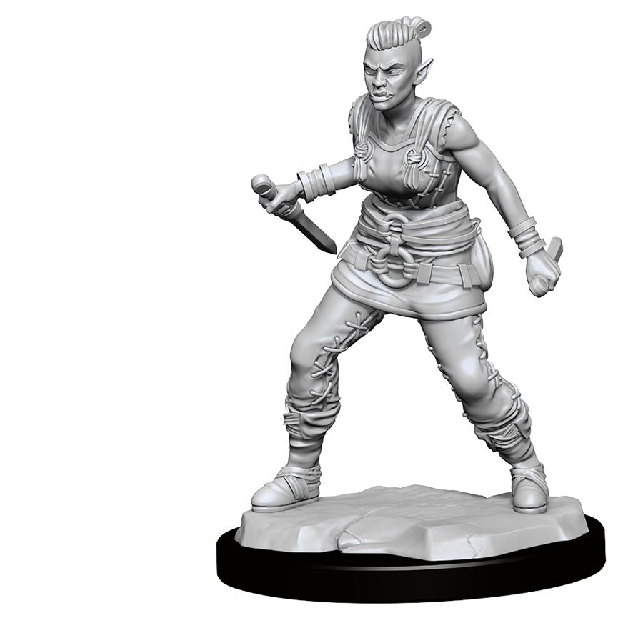 D&D Nolzur's Marvelous Unpainted Miniatures: Wave 13: Orc Barbarian Female