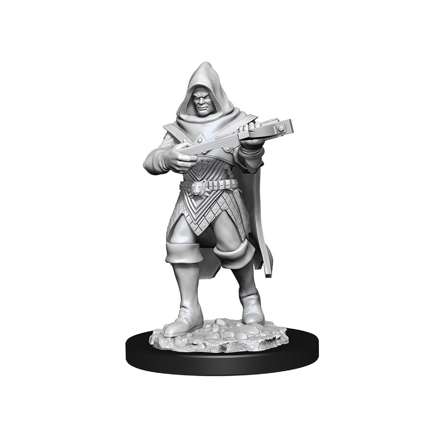 D&D Nolzur's Marvelous Unpainted Miniatures: Wave 13: Human Rogue Male