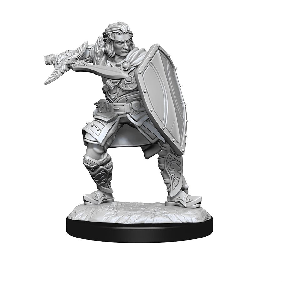 D&D Nolzur's Marvelous Miniatures: Wave 14: Human Paladin Male