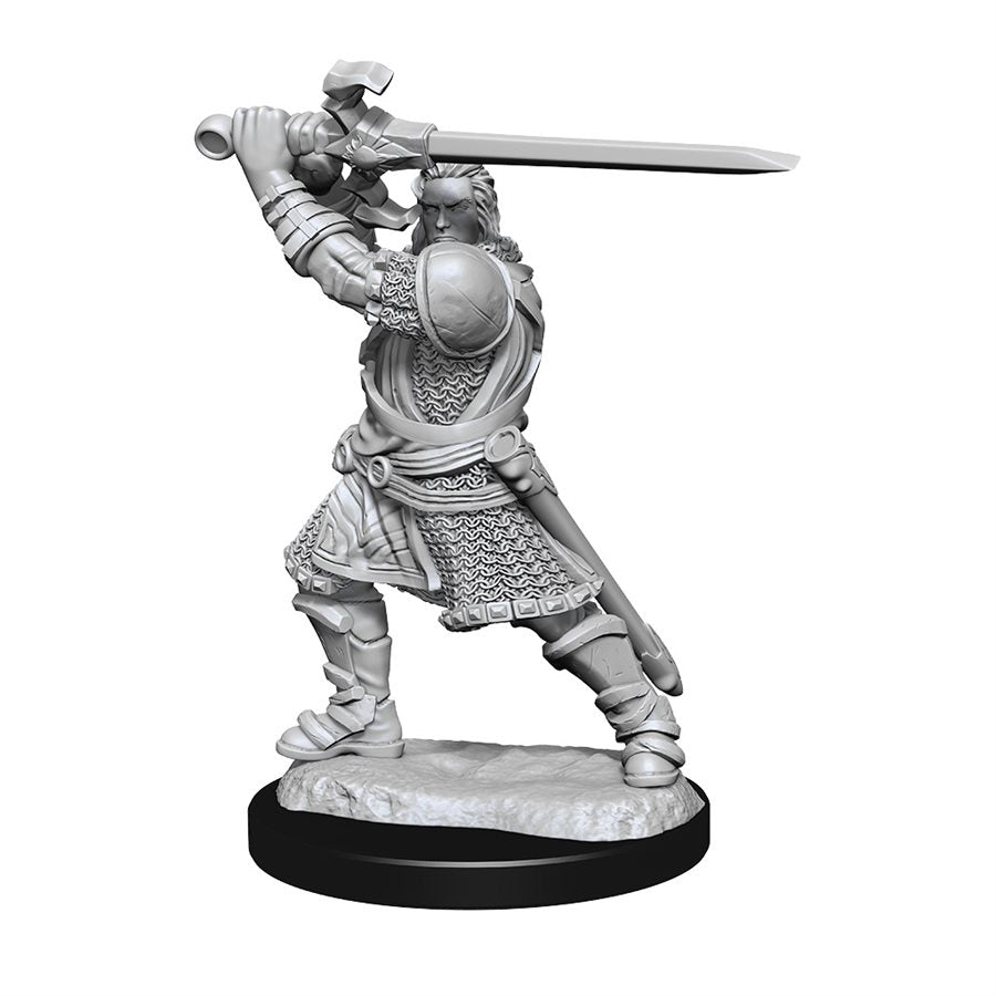 D&D Nolzur's Marvelous Miniatures: Wave 14: Human Paladin Male