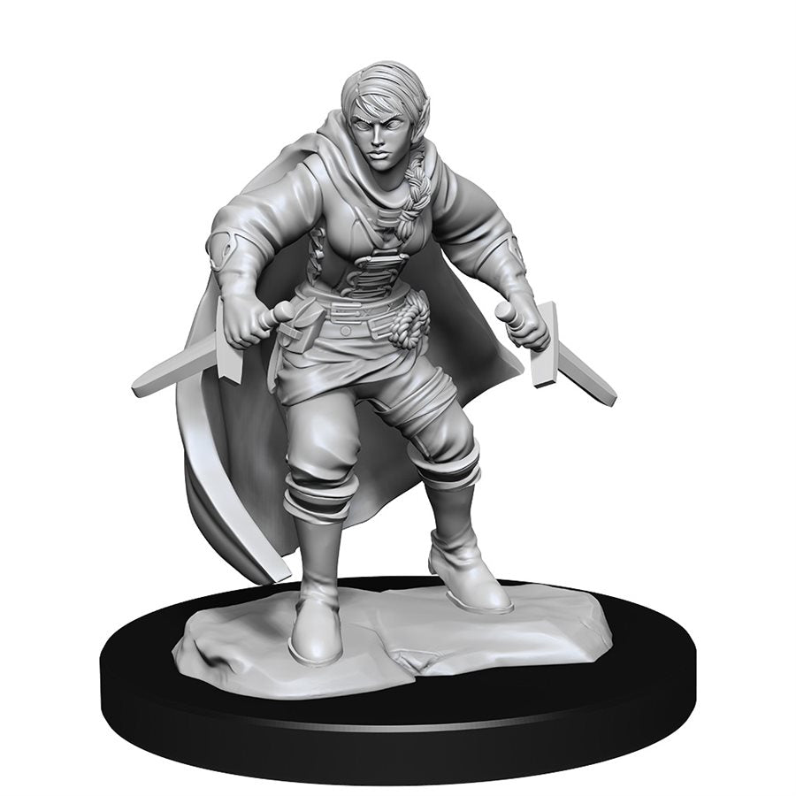 D&D Nolzur's Marvelous Miniatures: Wave 14: Half-Elf Rogue  Female